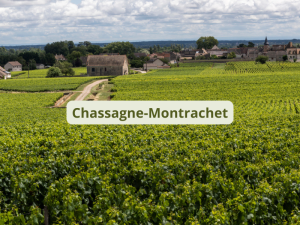 Chassagne-Montrachet www